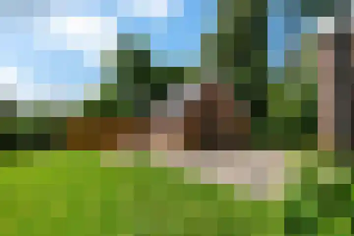 Herxen 83 Wijhe thumbnail 28