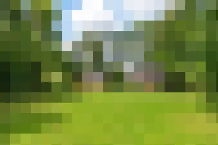 Herxen 83 Wijhe thumbnail 30
