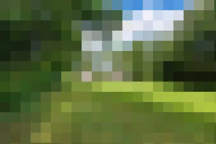 Herxen 83 Wijhe thumbnail 31