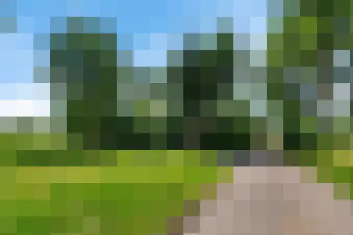 Herxen 83 Wijhe thumbnail 32