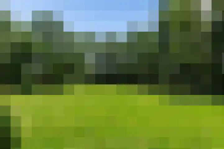 Herxen 83 Wijhe thumbnail 33