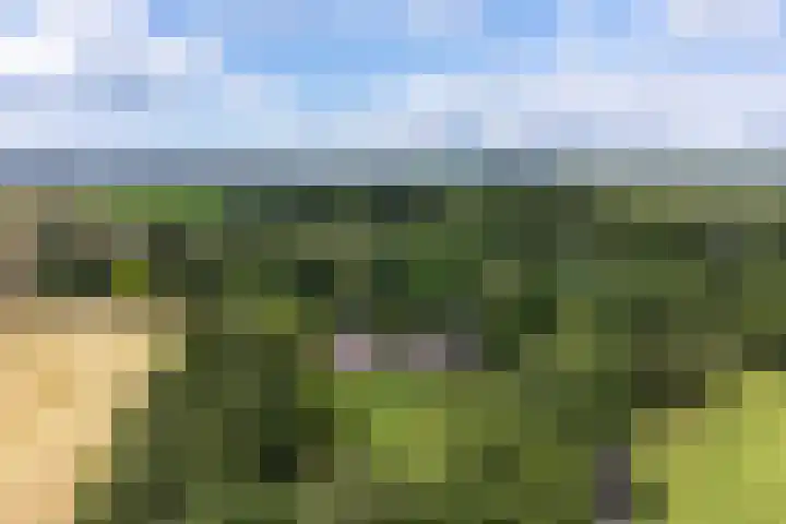 Herxen 83 Wijhe thumbnail 35