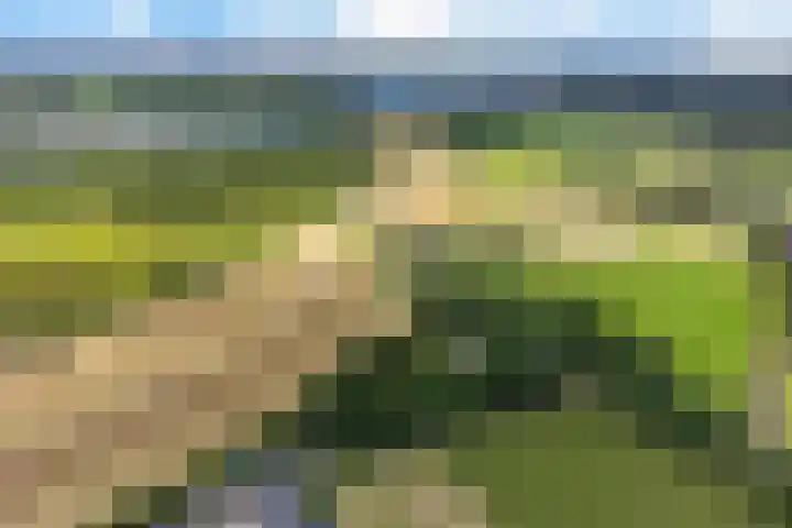 Herxen 83 Wijhe thumbnail 36