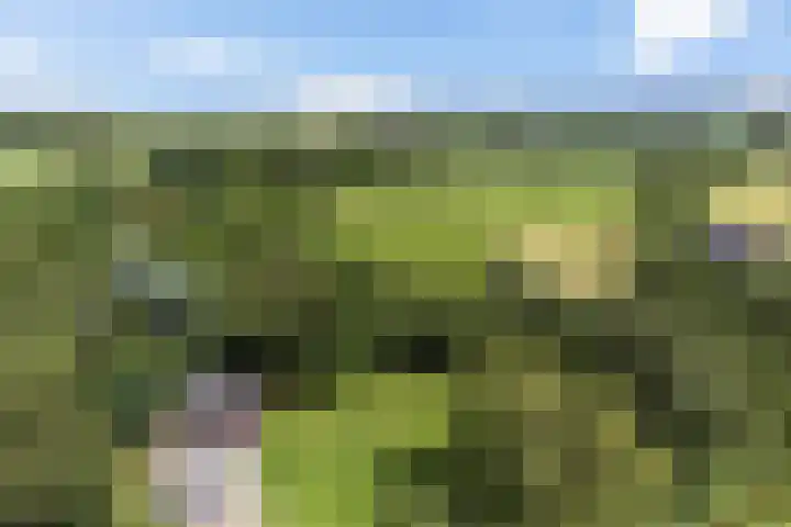 Herxen 83 Wijhe thumbnail 37