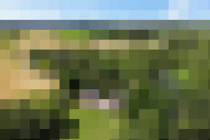 Herxen 83 Wijhe thumbnail 38