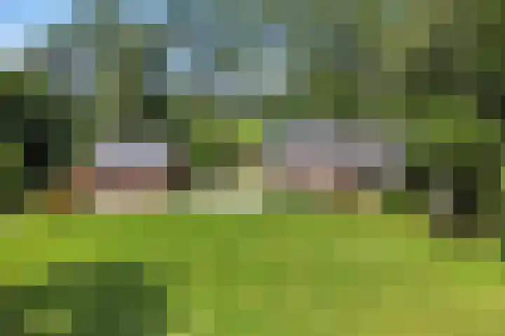 Herxen 83 Wijhe thumbnail 39