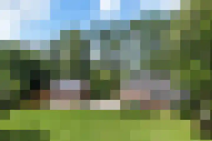 Herxen 83 Wijhe thumbnail 40