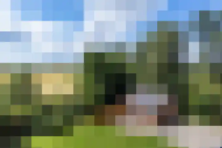 Herxen 83 Wijhe thumbnail 41