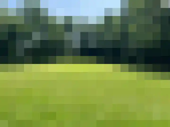 Herxen 83 Wijhe thumbnail 42
