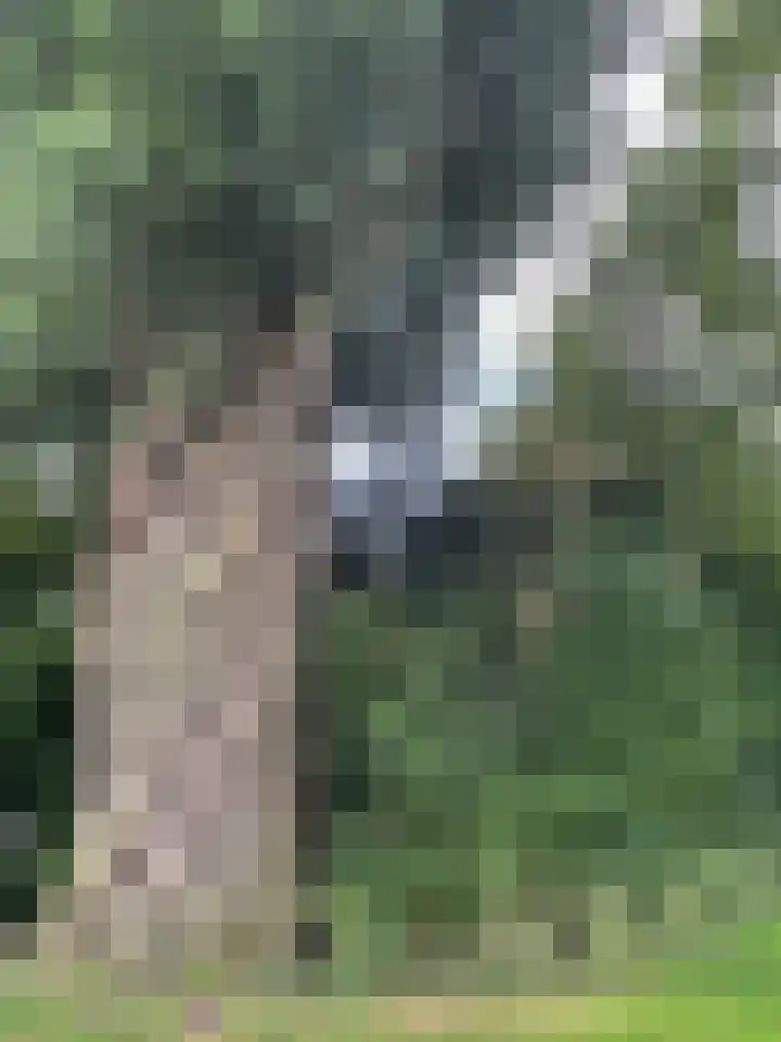 Herxen 83 Wijhe thumbnail 43