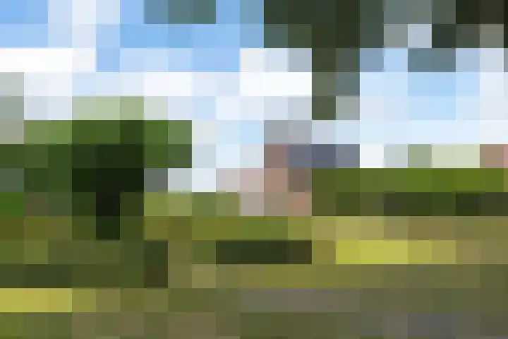 Herxen 83 Wijhe thumbnail 45