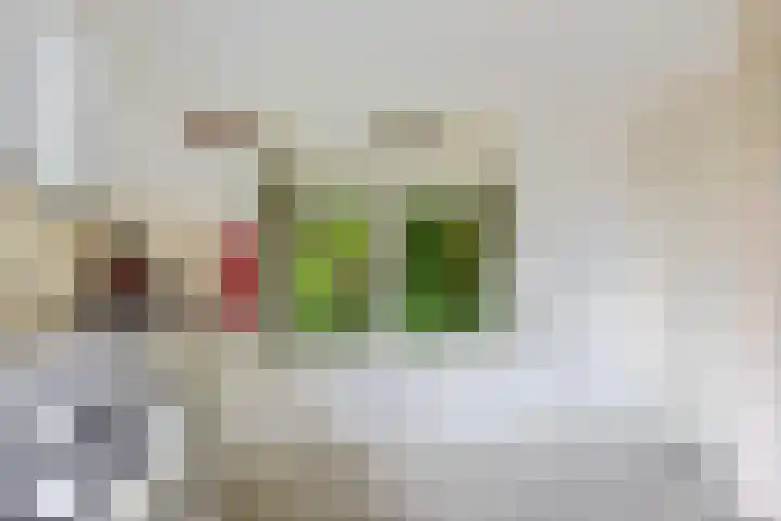 Herxen 83 Wijhe thumbnail 7