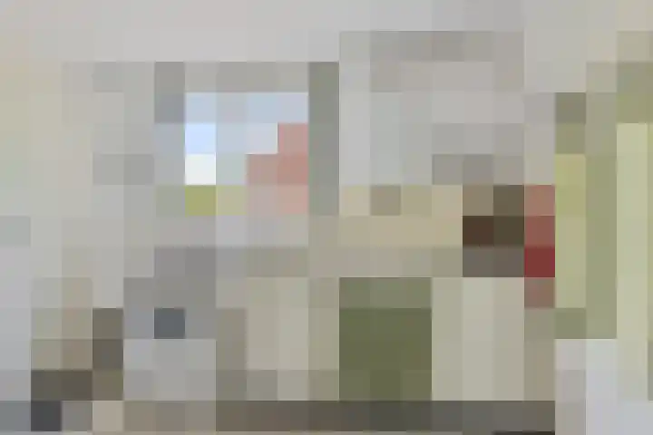 Herxen 83 Wijhe thumbnail 8