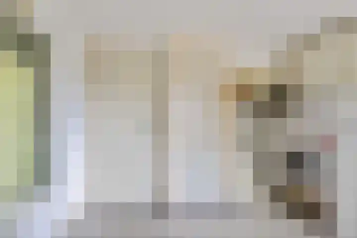 Herxen 83 Wijhe thumbnail 9