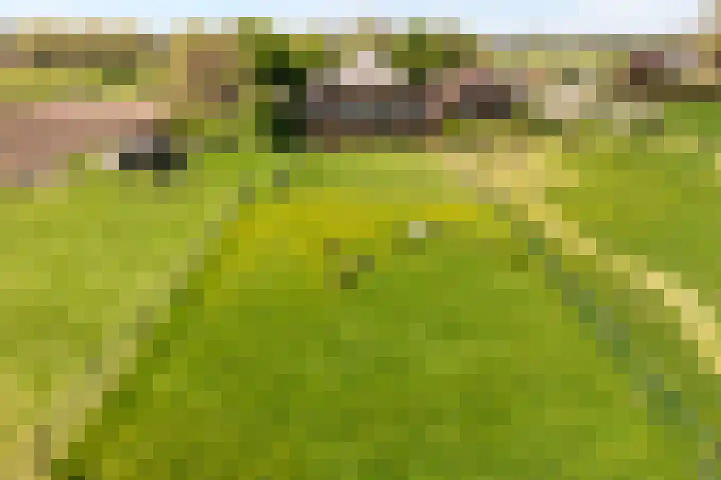 Herxerenk 1 dans Wijhe