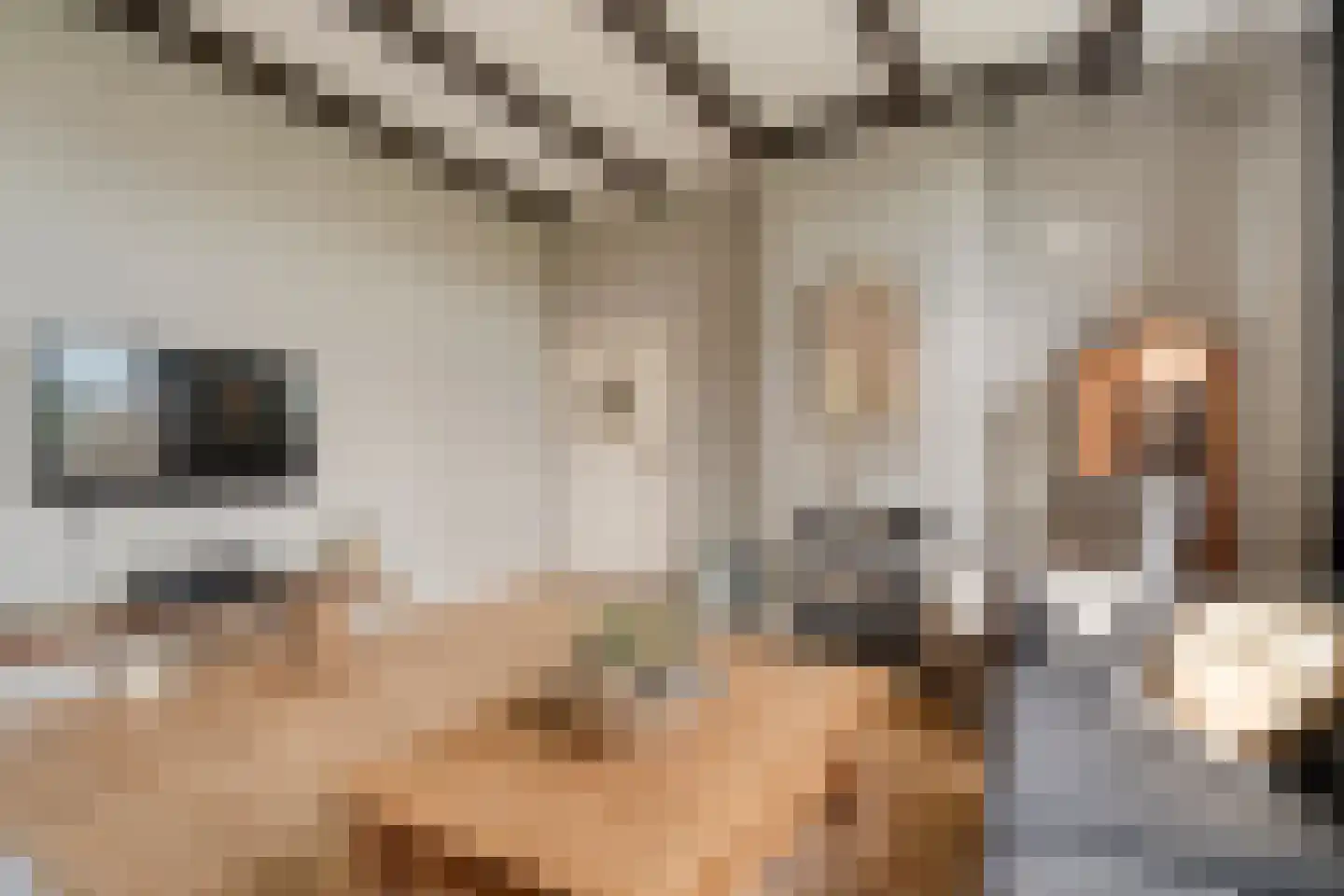 Herxerenk 1 Wijhe thumbnail 11