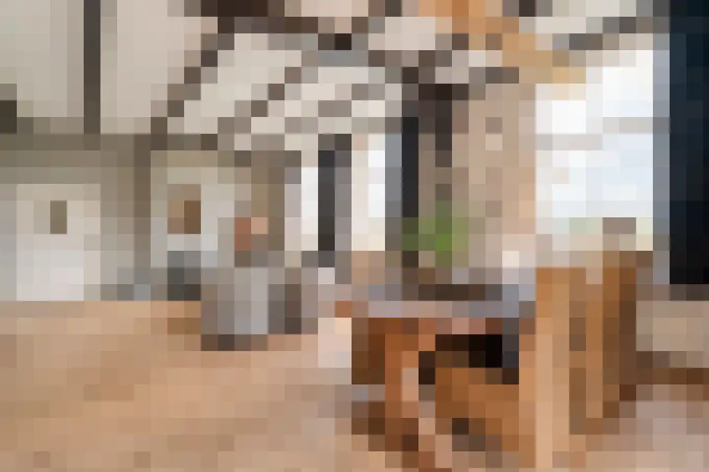 Herxerenk 1 Wijhe thumbnail 13