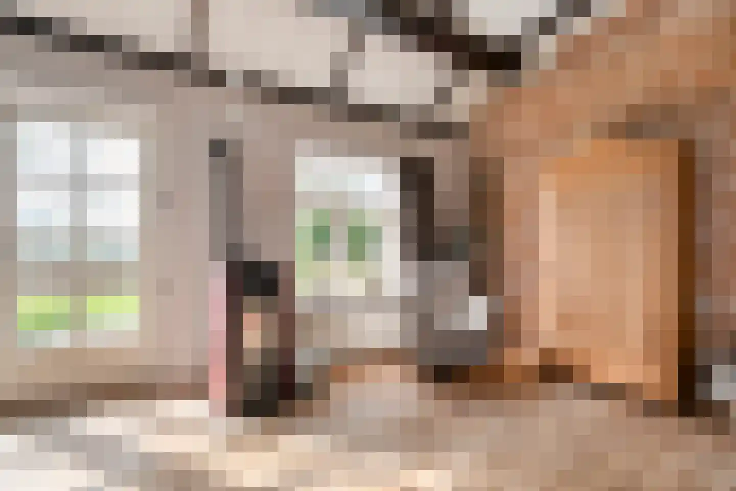 Herxerenk 1 Wijhe thumbnail 14