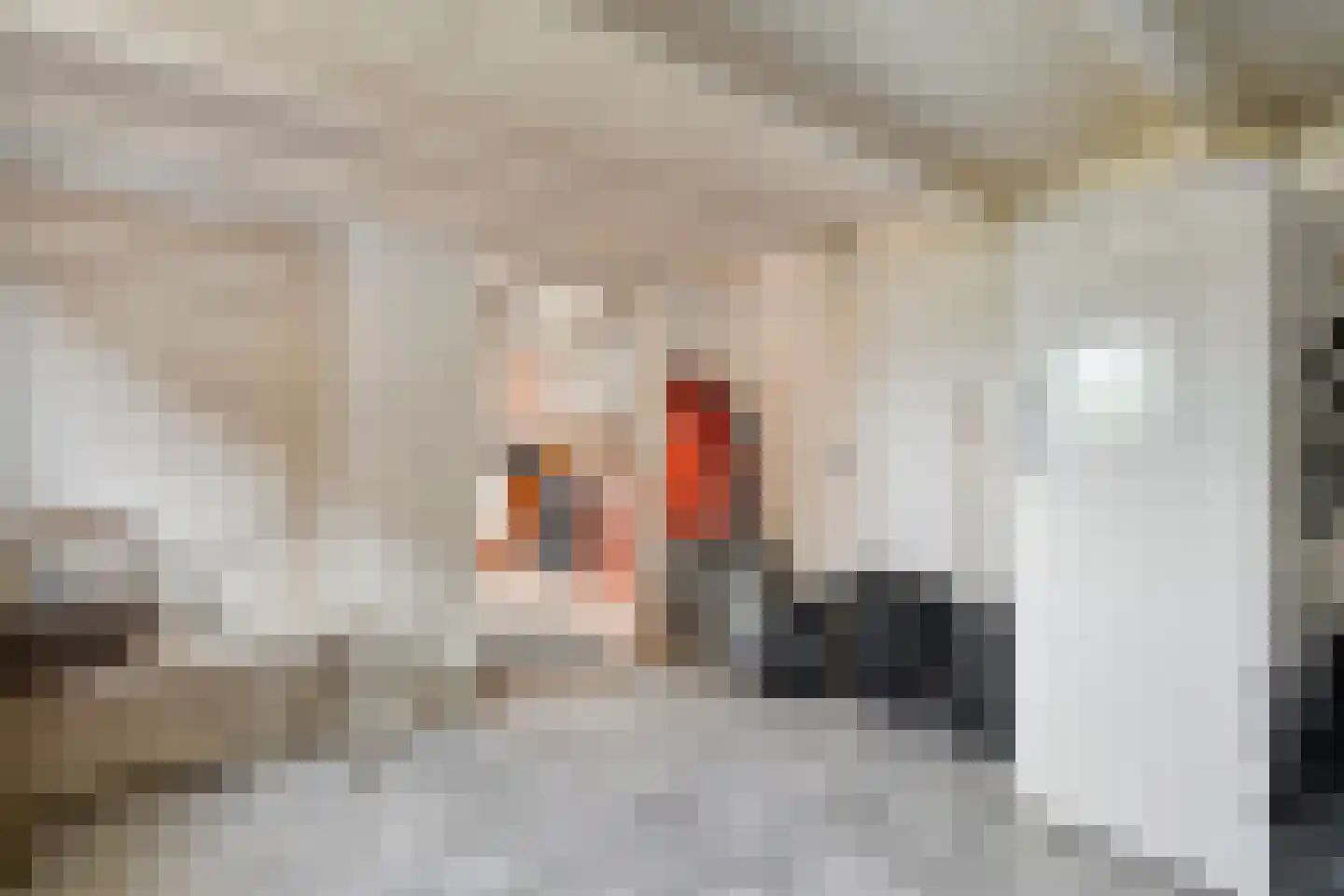 Herxerenk 1 Wijhe thumbnail 19