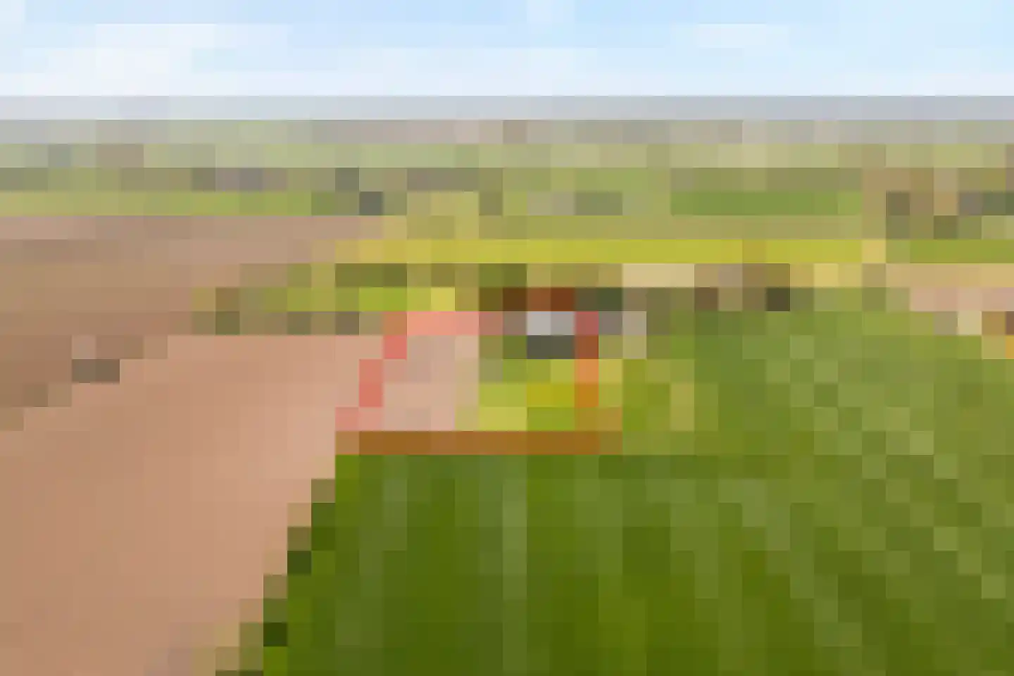 Herxerenk 1 Wijhe foto 2