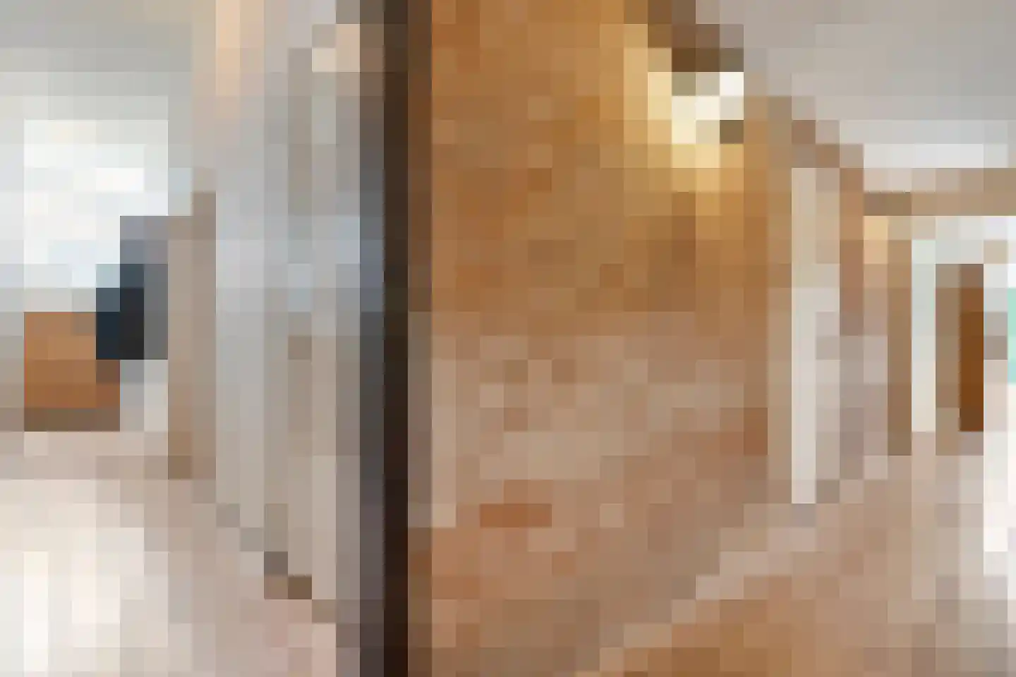 Herxerenk 1 Wijhe thumbnail 20