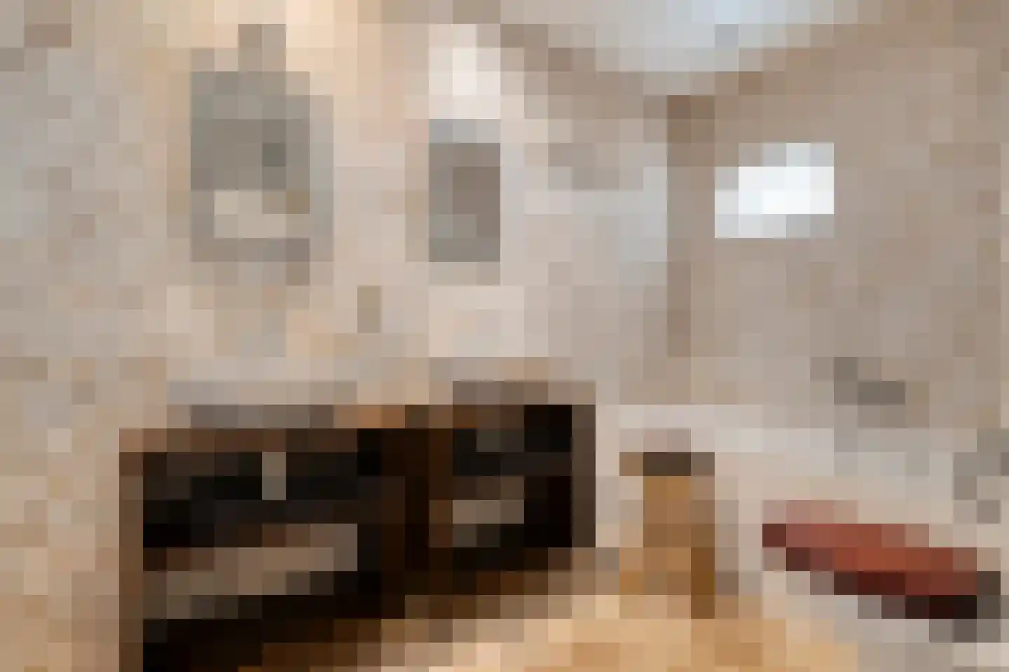Herxerenk 1 Wijhe thumbnail 24