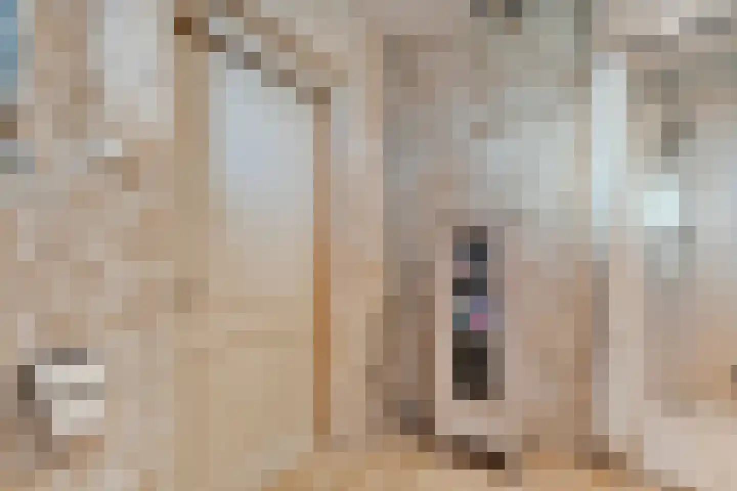 Herxerenk 1 Wijhe thumbnail 25