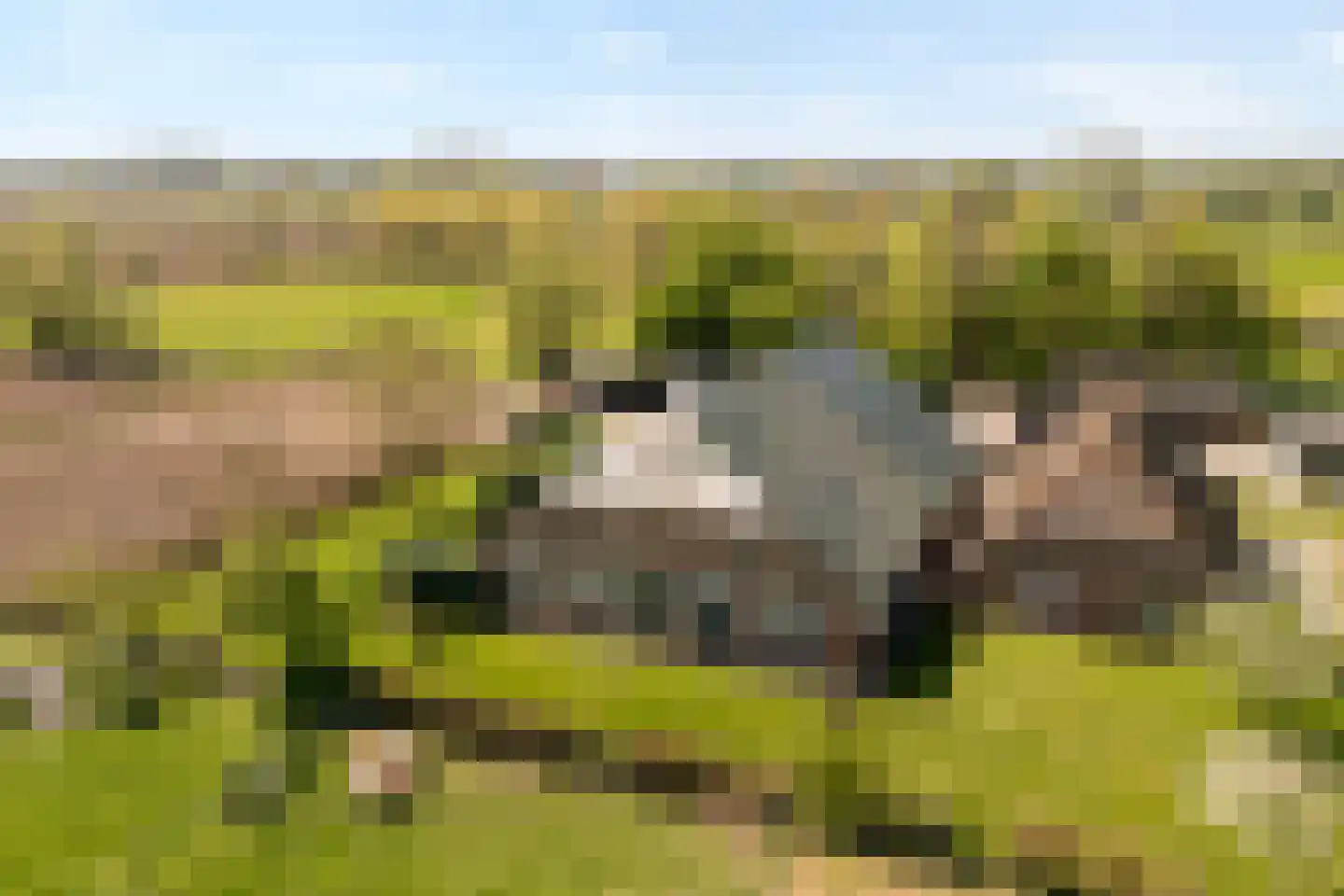 Herxerenk 1 Wijhe foto 3