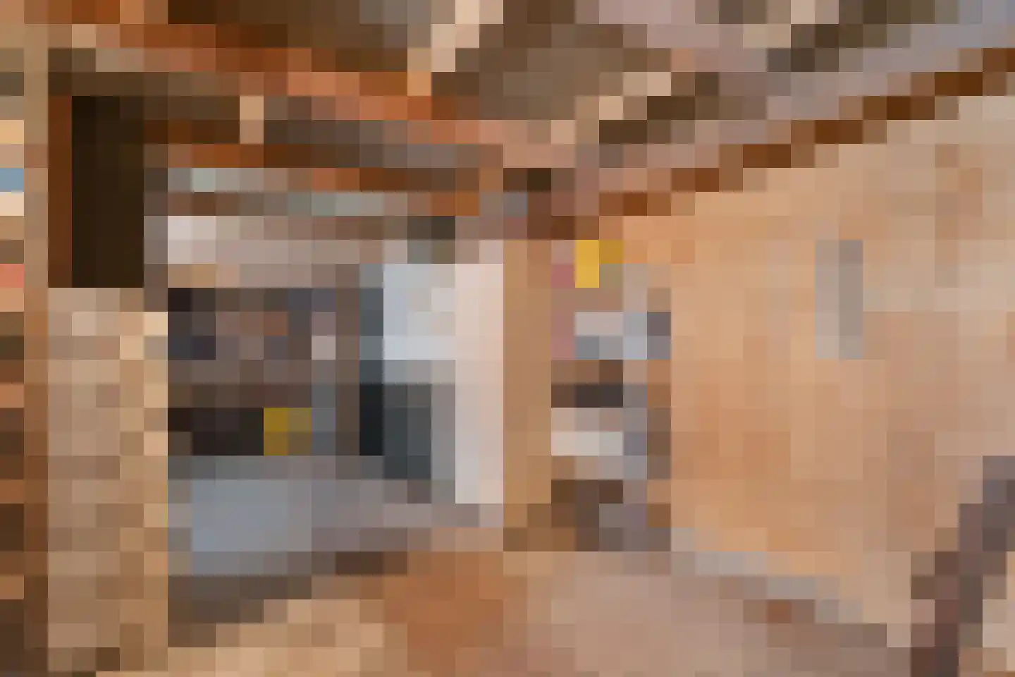 Herxerenk 1 Wijhe thumbnail 38