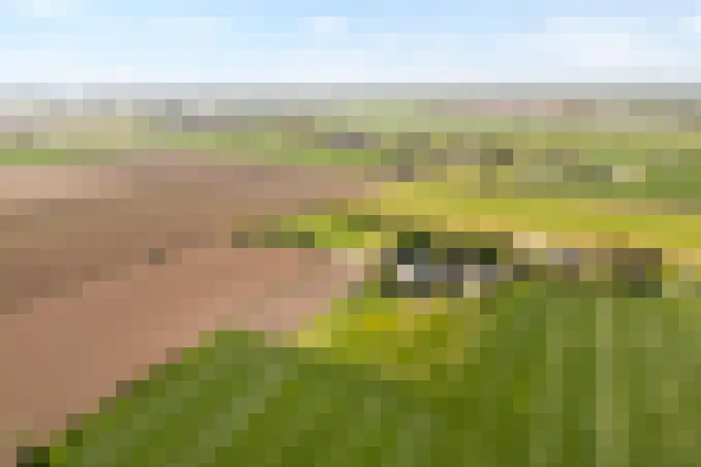 Herxerenk 1 Wijhe thumbnail 4