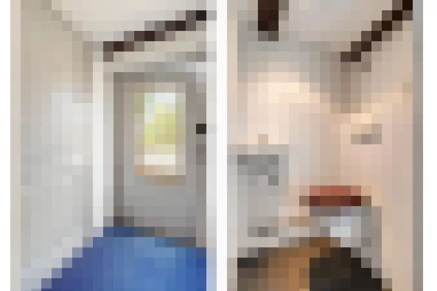 Herxerenk 1 Wijhe thumbnail 42