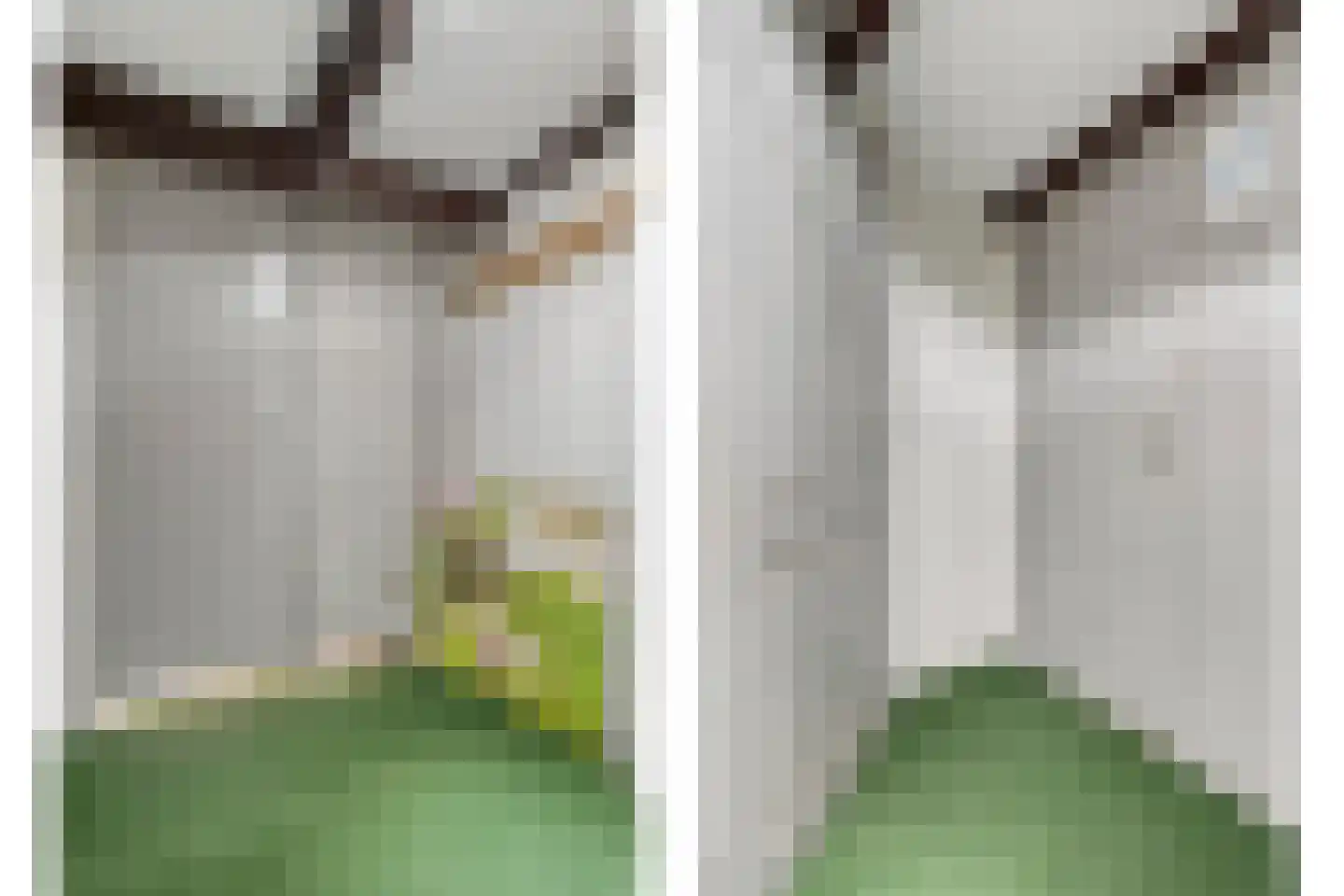 Herxerenk 1 Wijhe thumbnail 43
