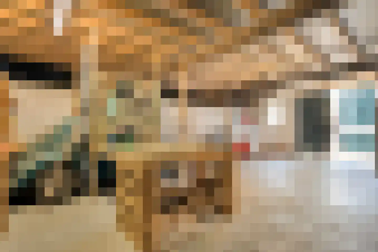 Herxerenk 1 Wijhe thumbnail 44