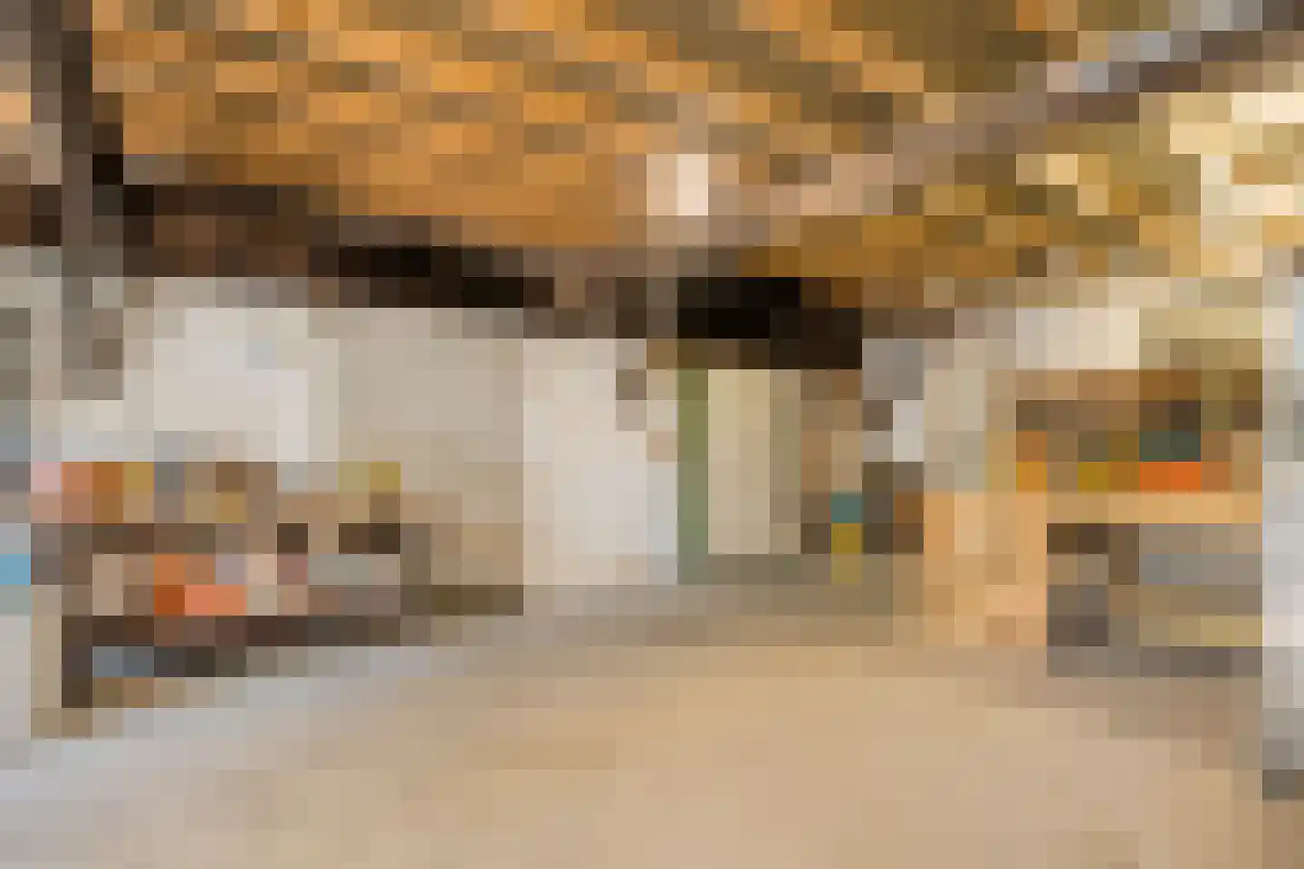 Herxerenk 1 Wijhe thumbnail 45