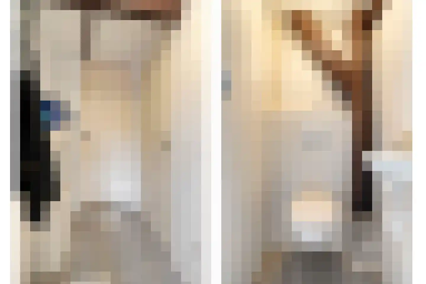 Herxerenk 1 Wijhe thumbnail 50