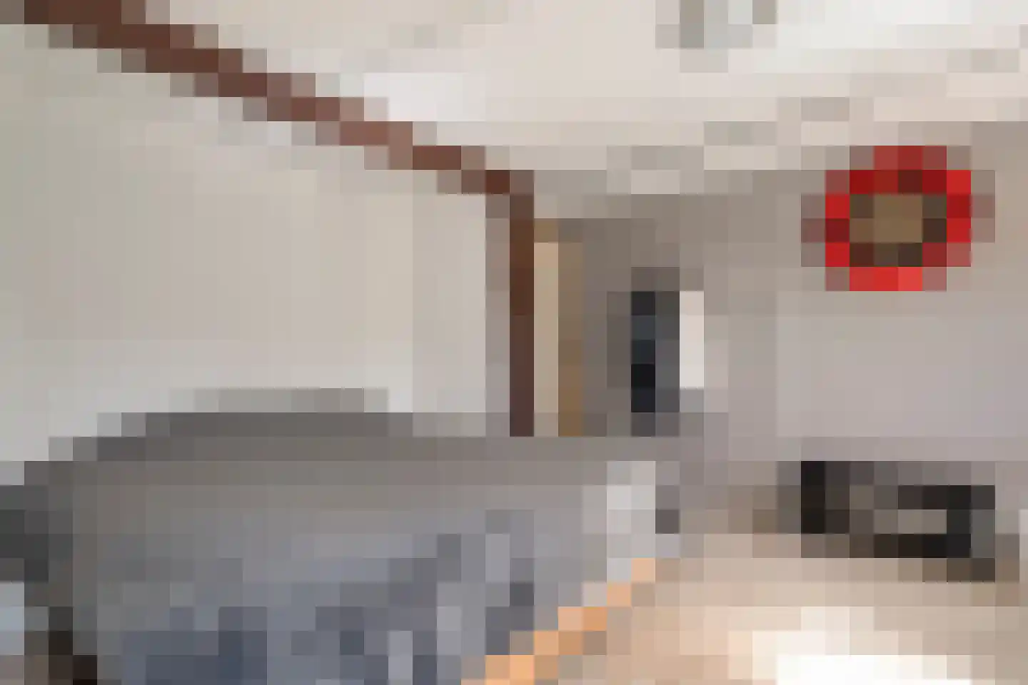 Herxerenk 1 Wijhe thumbnail 53