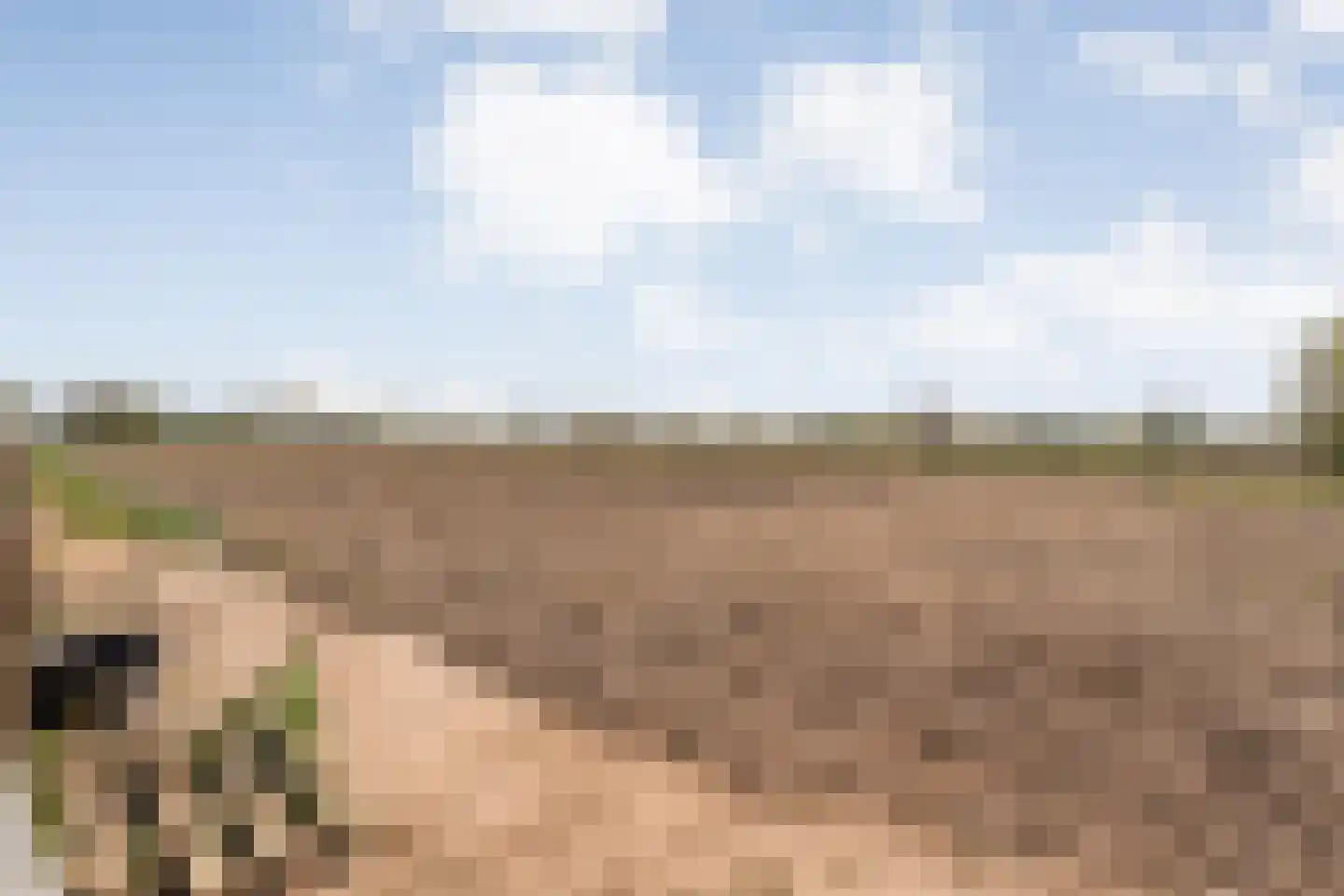 Herxerenk 1 Wijhe thumbnail 56