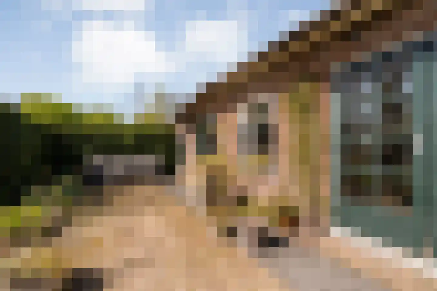 Herxerenk 1 Wijhe thumbnail 60