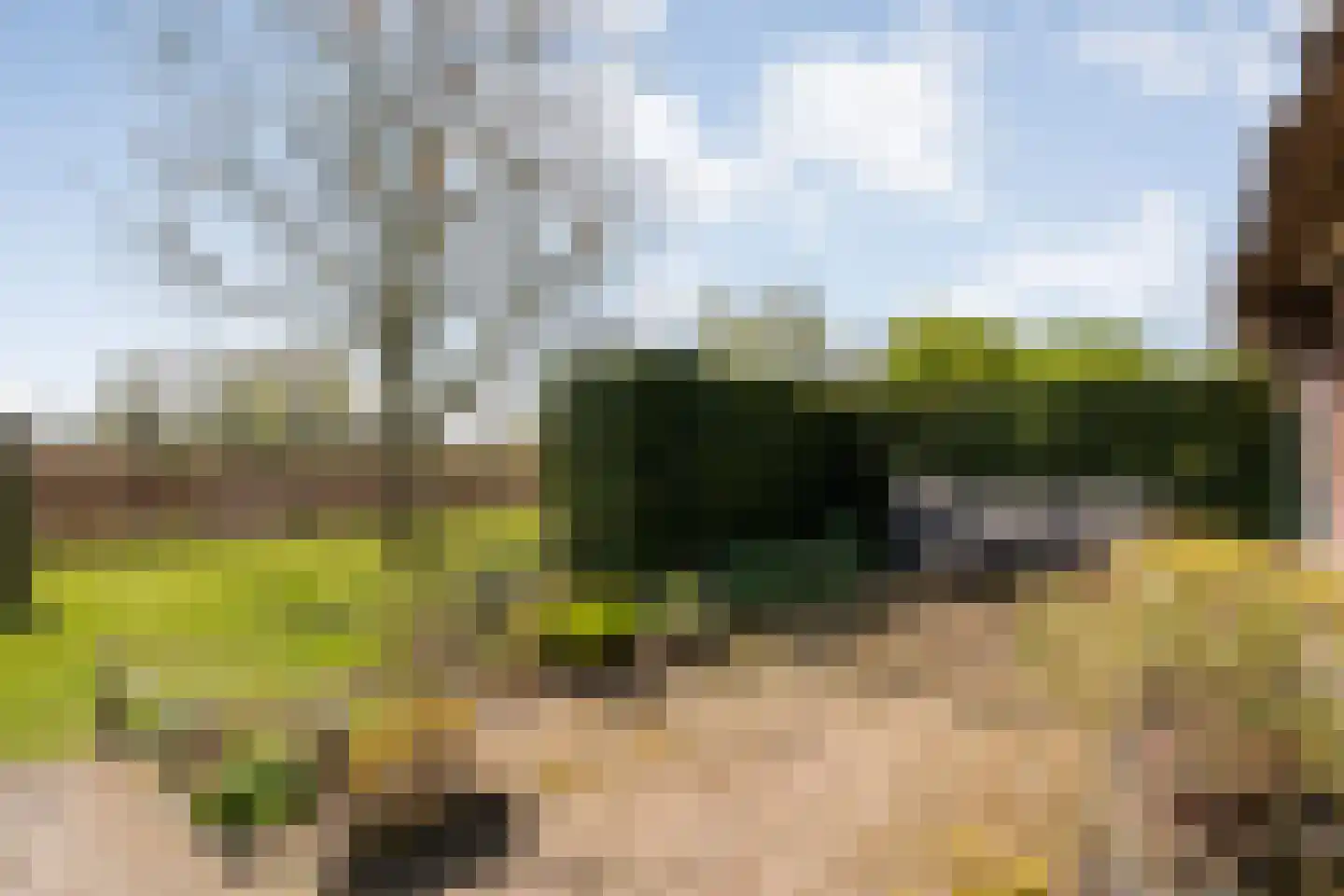 Herxerenk 1 Wijhe thumbnail 61
