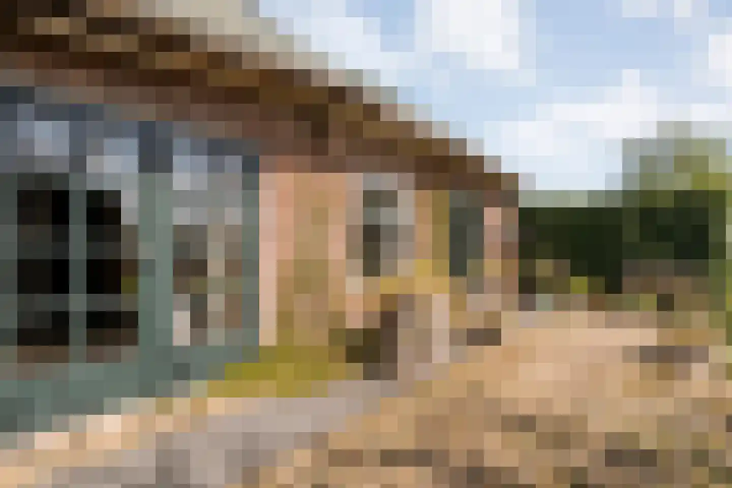 Herxerenk 1 Wijhe thumbnail 62