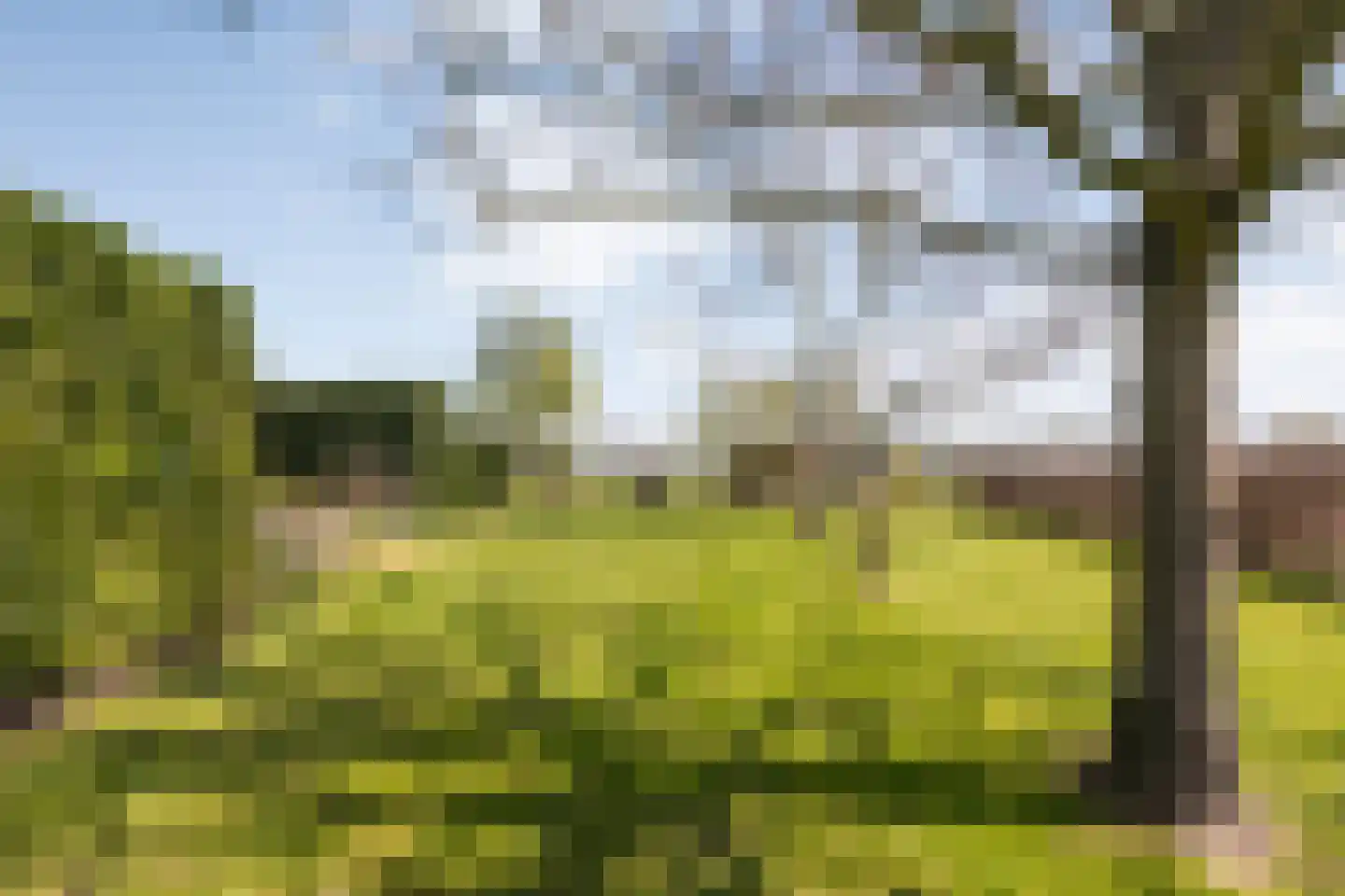 Herxerenk 1 Wijhe thumbnail 64