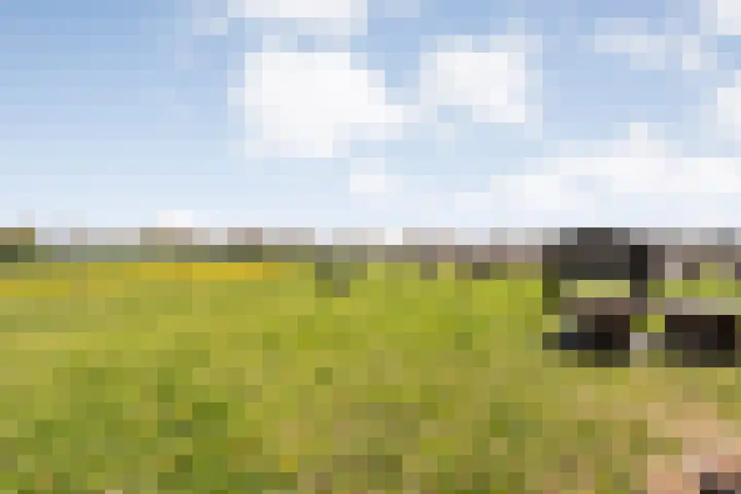 Herxerenk 1 Wijhe thumbnail 70