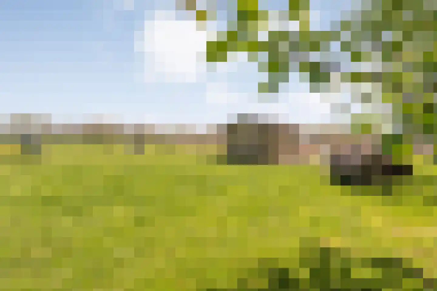 Herxerenk 1 Wijhe thumbnail 72