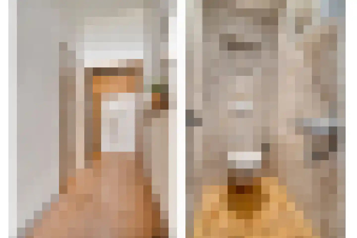 Herxerenk 1 Wijhe thumbnail 8