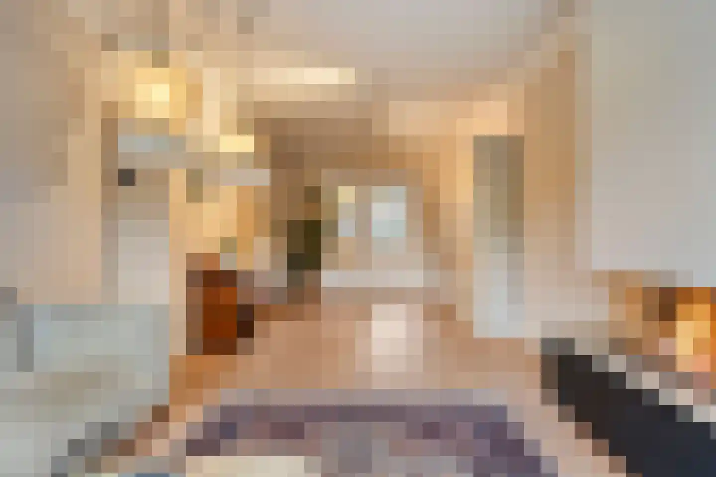 Hescheweg 103 Oss thumbnail 10