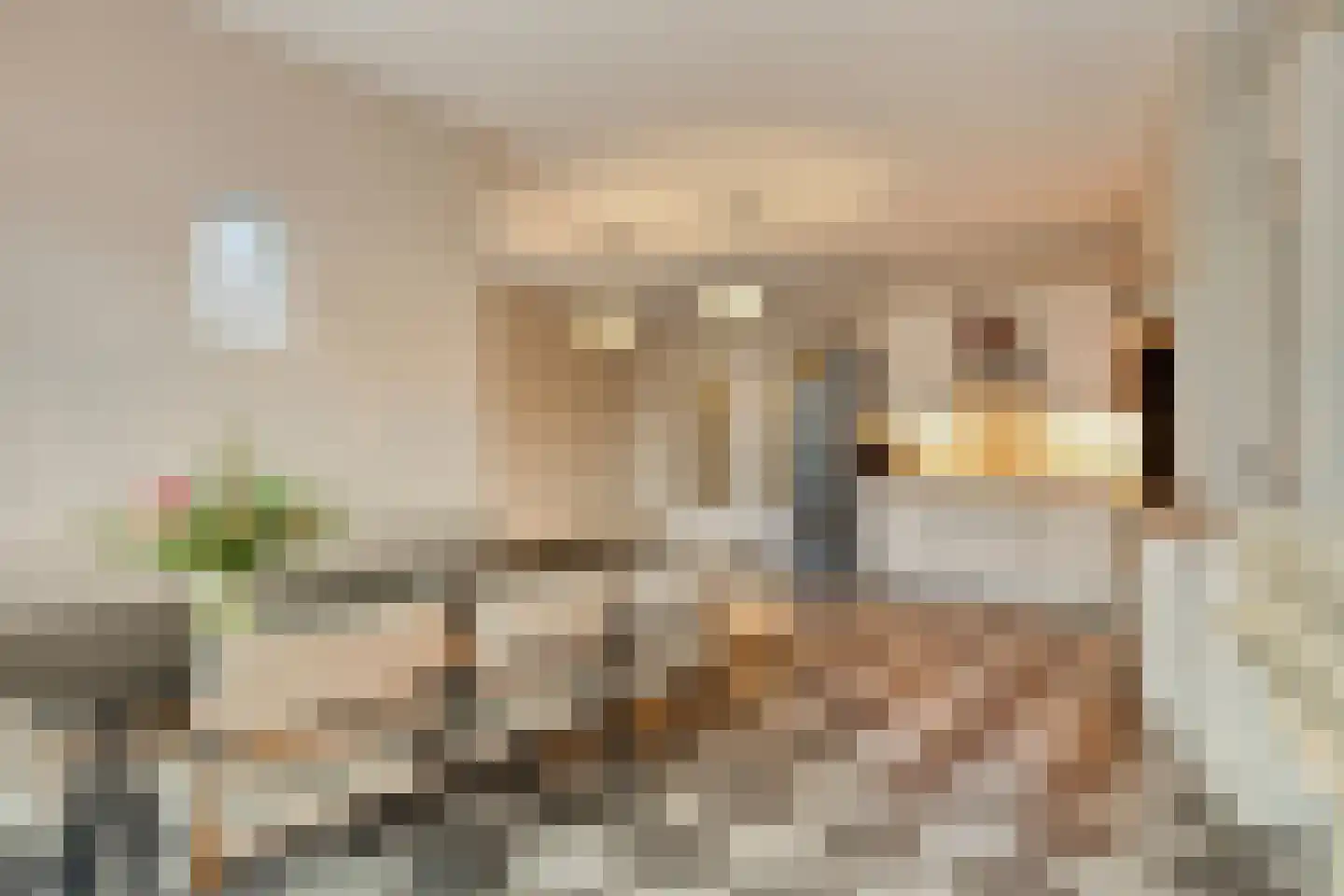 Hescheweg 103 Oss thumbnail 16