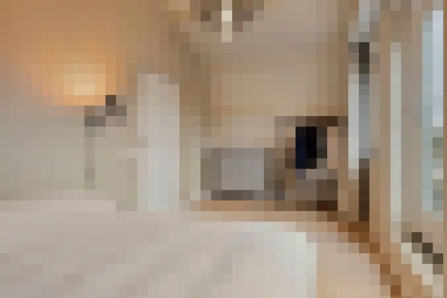 Hescheweg 103 Oss thumbnail 20
