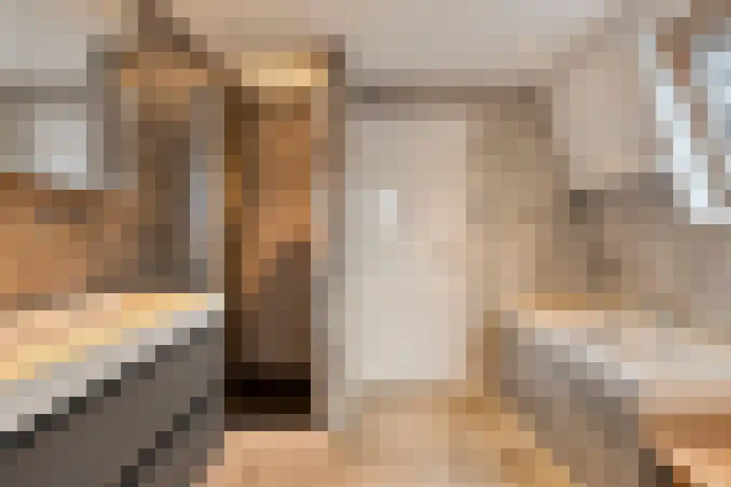 Hescheweg 103 Oss thumbnail 22