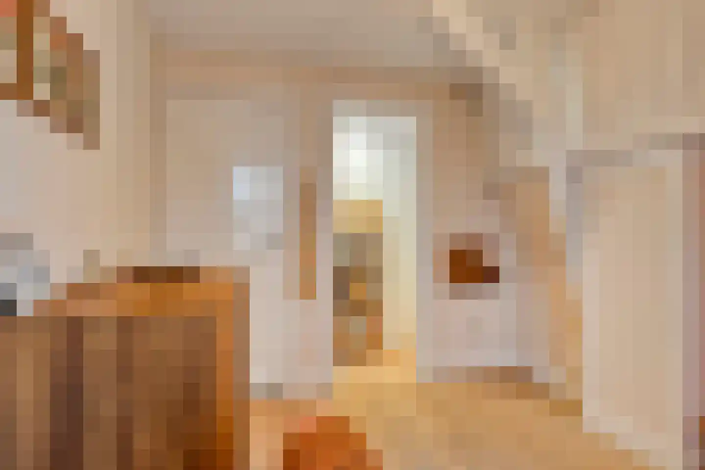 Hescheweg 103 Oss thumbnail 26