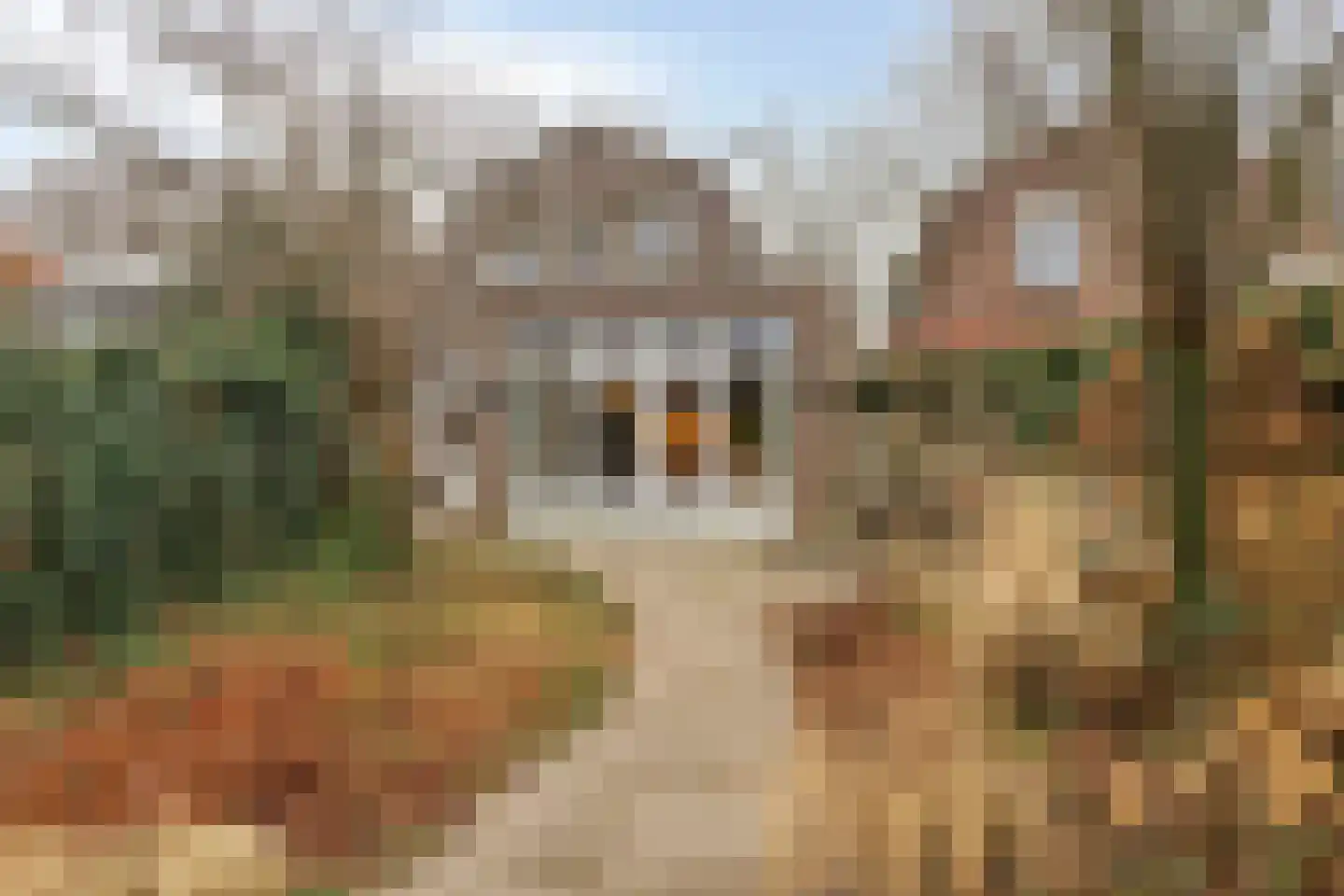 Hescheweg 103 Oss thumbnail 28